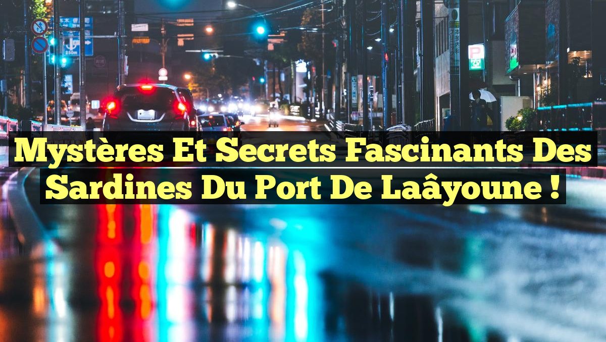 Mystères et Secrets Fascinants des Sardines du Port de Laâyoune !