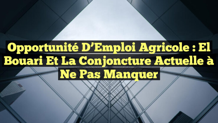 Opportunité d’Emploi Agricole : El Bouari et la Conjoncture Actuelle à Ne Pas Manquer