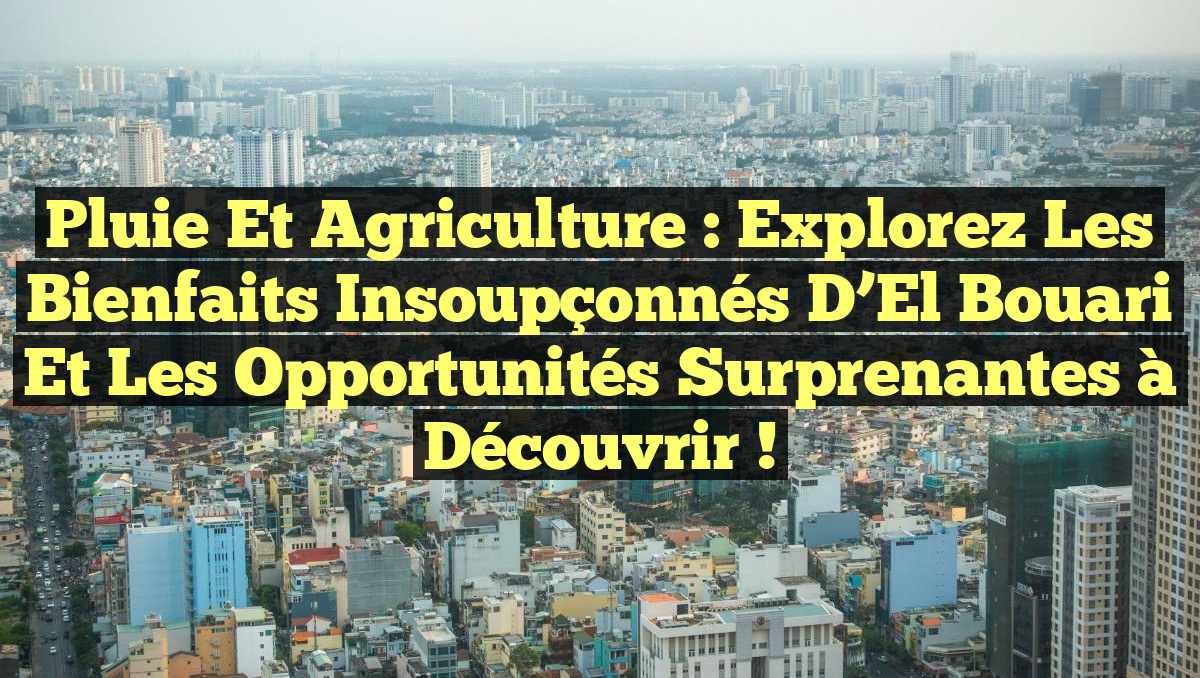 Pluie et Agriculture : Explorez les Bienfaits Insoupçonnés d&rsquo;El Bouari et les Opportunités Surprenantes à Découvrir !