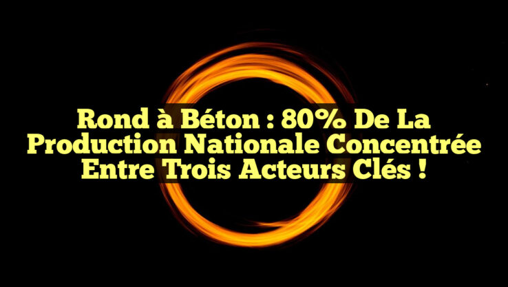<p><strong>Rond à Béton : 80% de la Production Nationale Concentrée entre Trois Acteurs Clés !</strong></p> Rond à Béton : 80% de la Production Nationale Concentrée entre Trois Acteurs Clés !