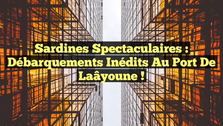 Sardines Spectaculaires : Débarquements Inédits au Port de Laâyoune !
