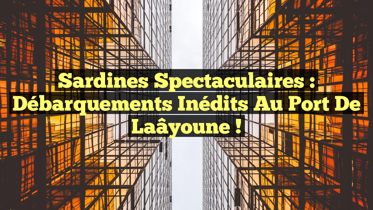 Sardines Spectaculaires : Débarquements Inédits au Port de Laâyoune !