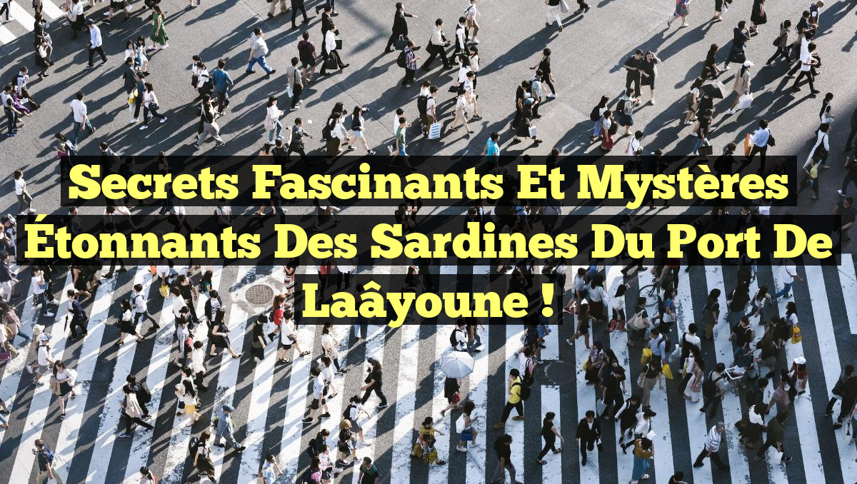 Secrets Fascinants et Mystères Étonnants des Sardines du Port de Laâyoune !