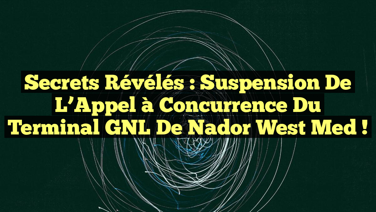 Secrets Révélés : Suspension de l’Appel à Concurrence du Terminal GNL de Nador West Med !