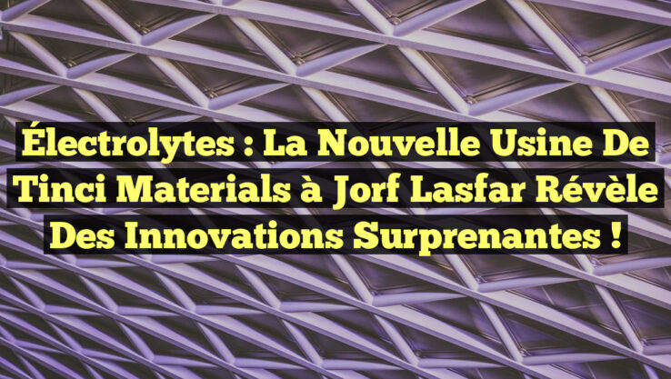 Électrolytes : La Nouvelle Usine de Tinci Materials à Jorf Lasfar Révèle des Innovations Surprenantes !