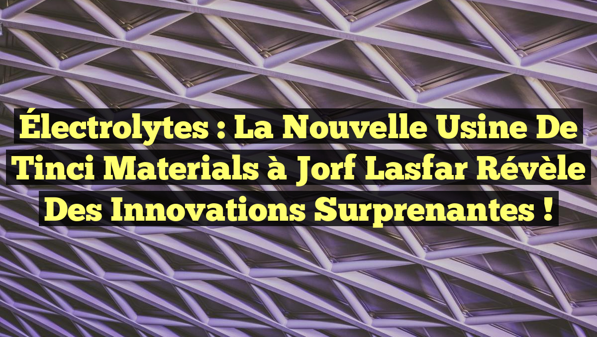 Électrolytes : La Nouvelle Usine de Tinci Materials à Jorf Lasfar Révèle des Innovations Surprenantes !