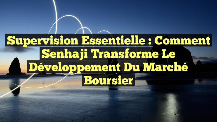 Supervision Essentielle : Comment Senhaji Transforme le Développement du Marché Boursier