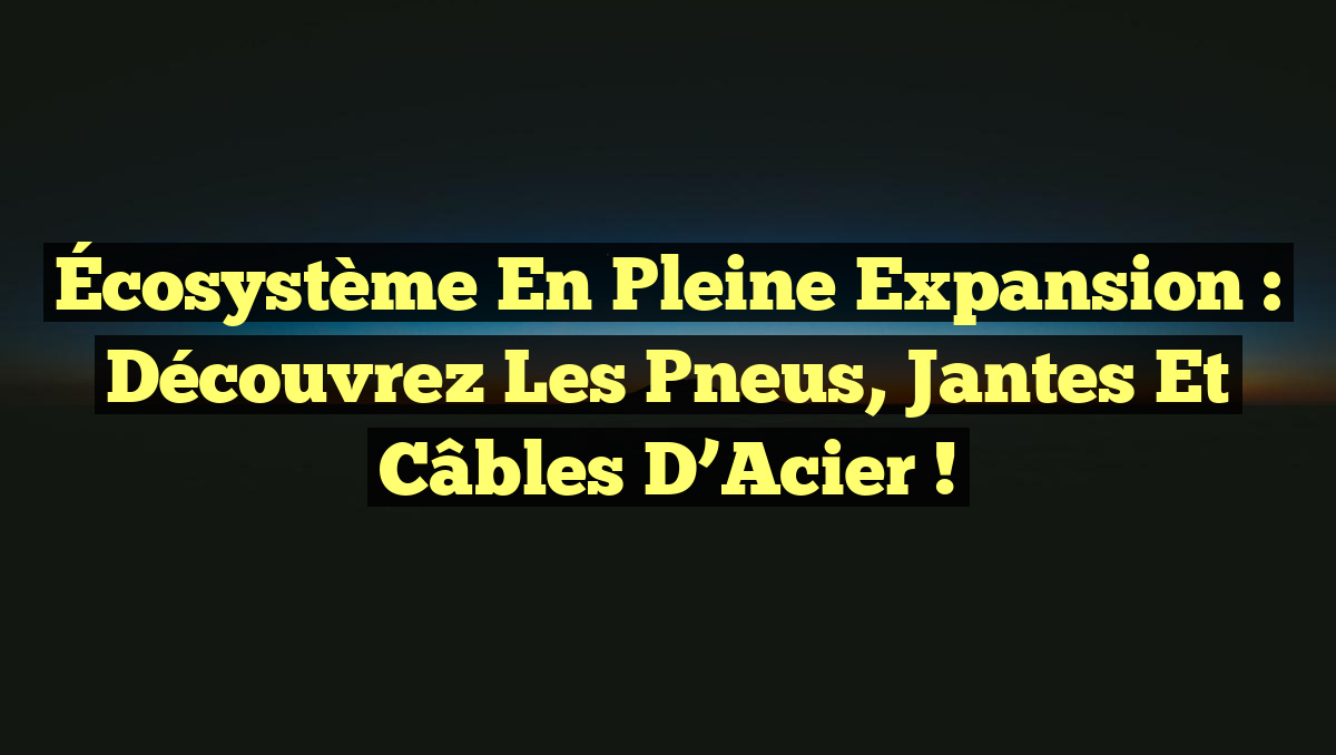 Écosystème en Pleine Expansion : Découvrez les Pneus, Jantes et Câbles d’Acier !