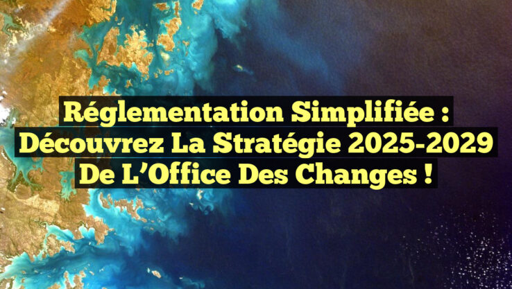 Réglementation Simplifiée : Découvrez la Stratégie 2025-2029 de l’Office des Changes !