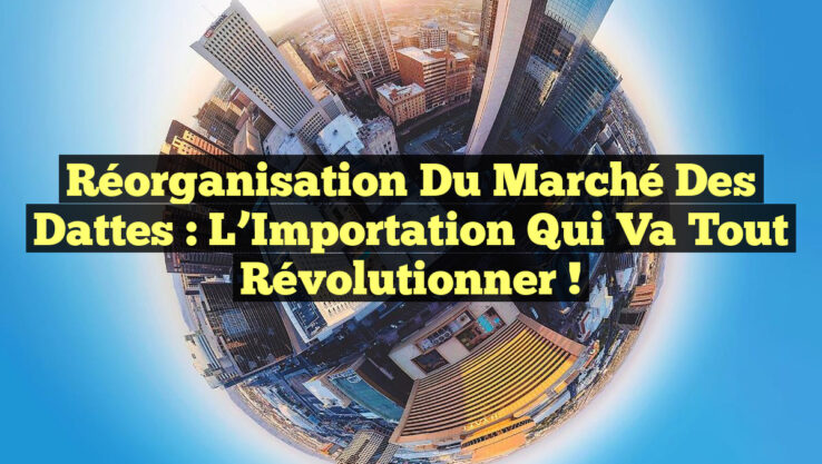 Réorganisation du Marché des Dattes : L’Importation qui Va Tout Révolutionner !