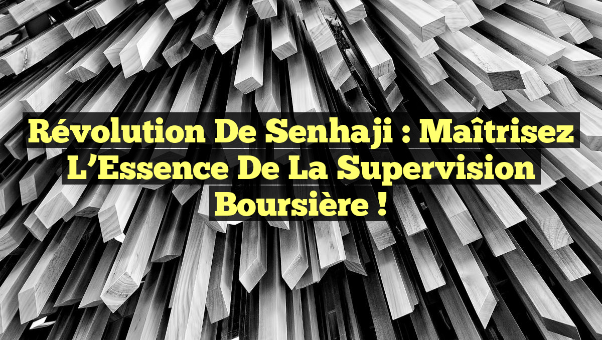 Révolution de Senhaji : Maîtrisez l’Essence de la Supervision Boursière !